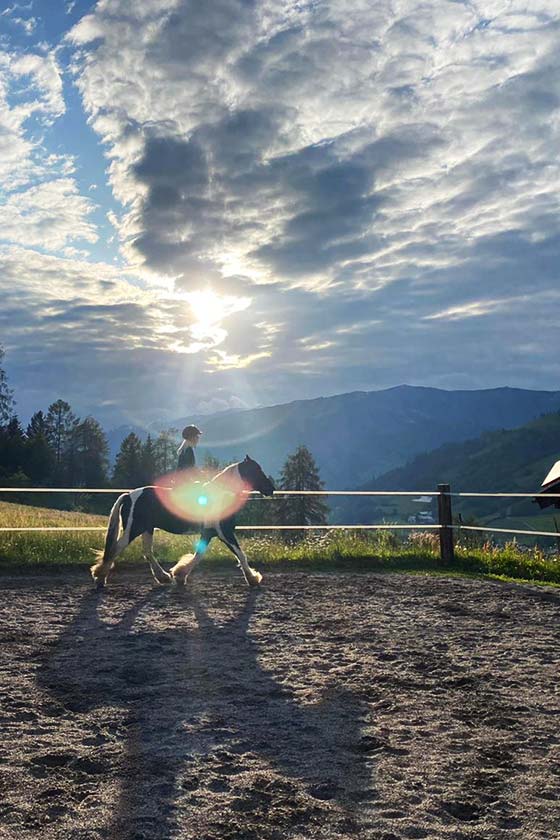 startseite danke pferd koppel chakra   startseite danke pferd koppel chakra