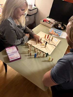 systembrett klein david